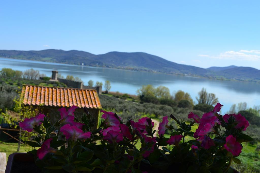 Villa Fattoria Il Poggio Ortsteil Ortsteil San Feliciano Exterior foto