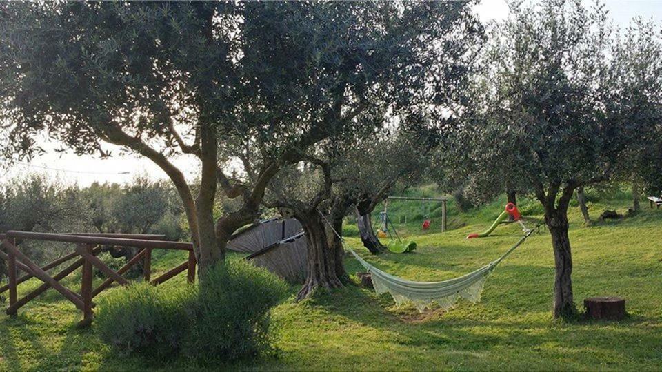 Villa Fattoria Il Poggio Ortsteil Ortsteil San Feliciano Exterior foto